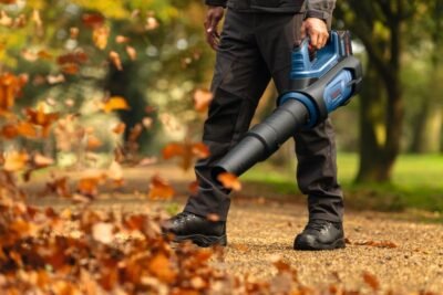 Bosch GBL 18V-800 im Einsatz